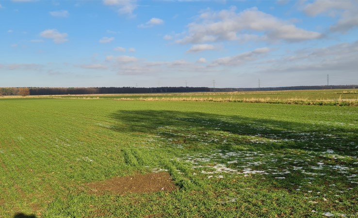 działka na sprzedaż - Świebodzice, Ciernie
